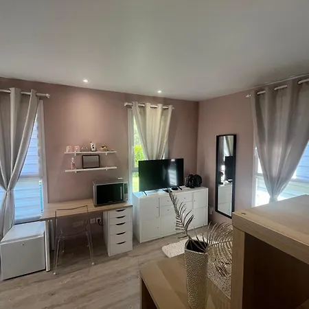 Dependance Prive Appartement Saint-Thibault-des-Vignes Buitenkant foto