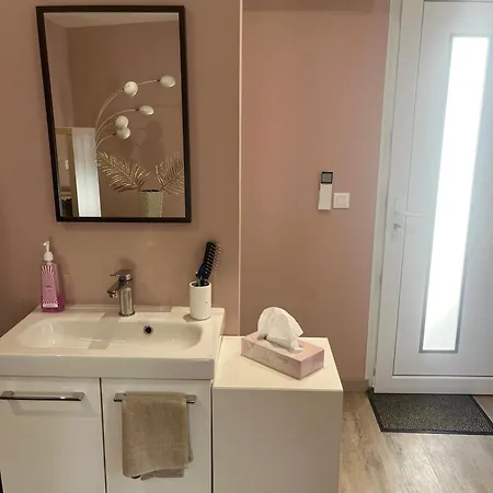 Dependance Prive Appartement Saint-Thibault-des-Vignes Buitenkant foto